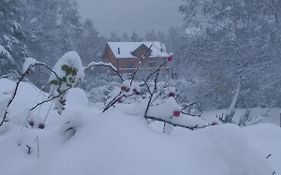Chalet Bois Au Milieu Des Pyrenees