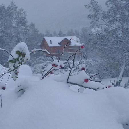 Chalet Bois Au Milieu Des Pyrenees LʼHospitalet-près-lʼAndorre Zewnętrze zdjęcie
