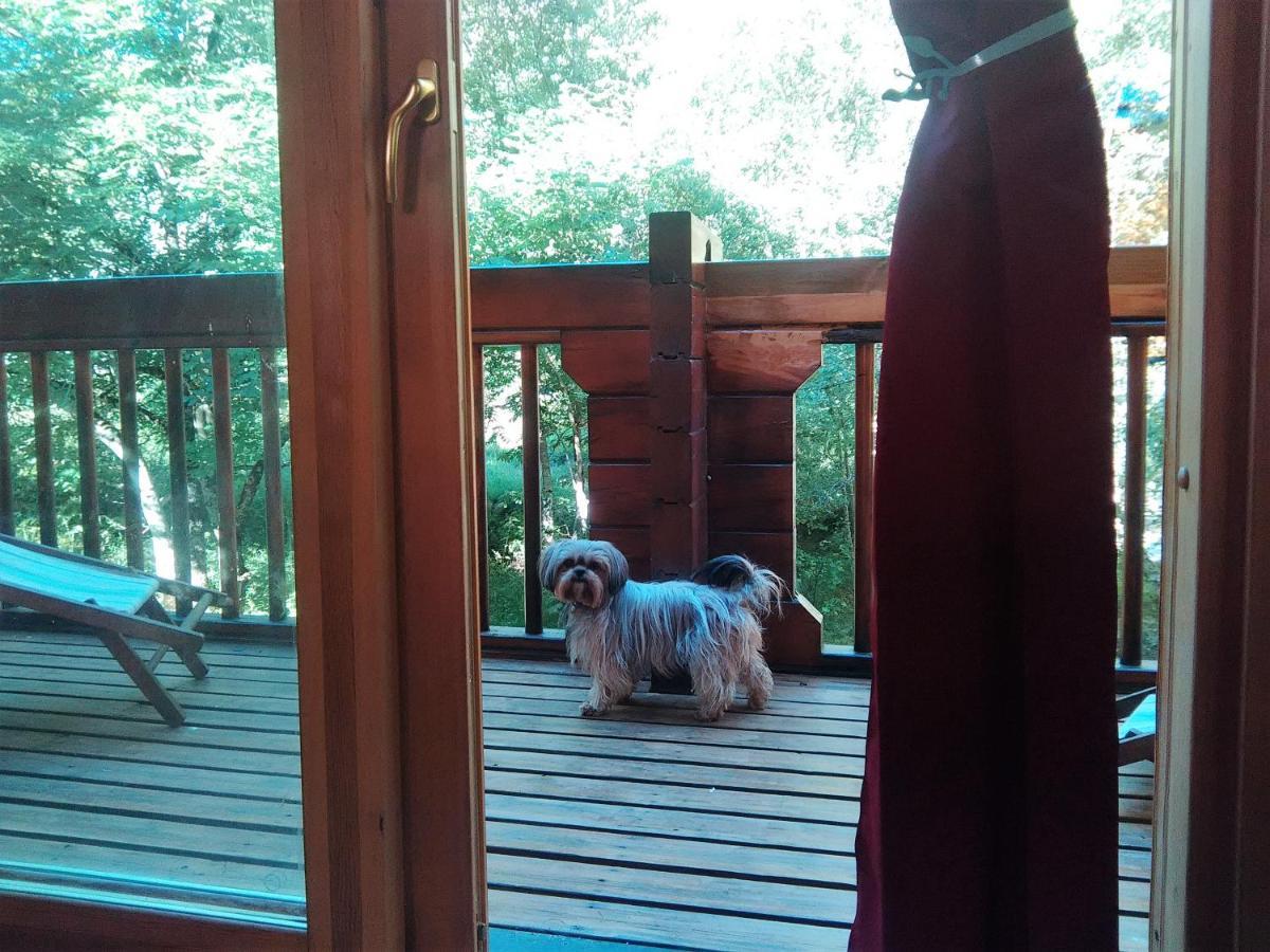 Chalet Bois Au Milieu Des Pyrenees LʼHospitalet-près-lʼAndorre Zewnętrze zdjęcie