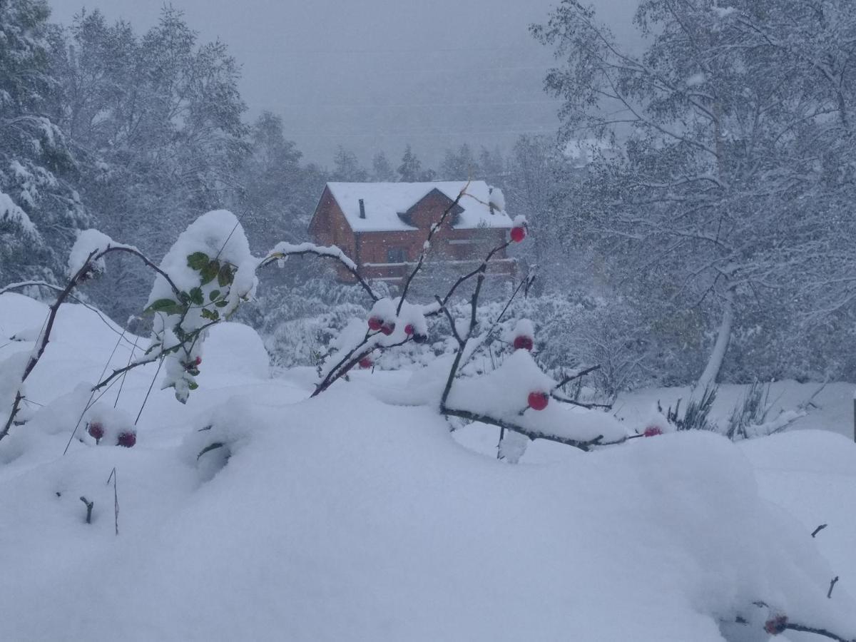 Chalet Bois Au Milieu Des Pyrenees LʼHospitalet-près-lʼAndorre Zewnętrze zdjęcie